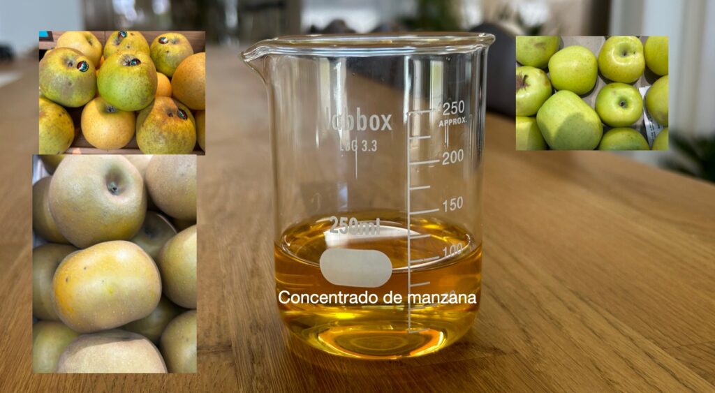 BAOR. Zumos y concentrados de Frutas y hortalizas | fabricante y ...